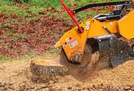 Best Storm Damage Tree Cleanup  in Rochester, NH